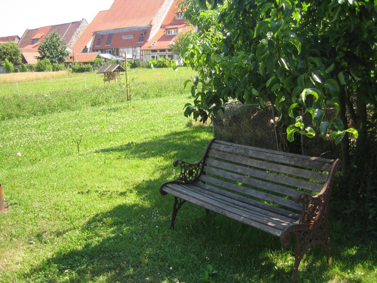 Apartment & Zimmer Familie Trescher Tübingen Kültér fotó